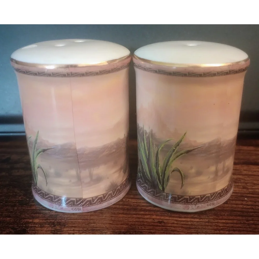 New Mexico Souvenir Salt & Pepper Shaker Set‎ Desert Native Southwest Pottery